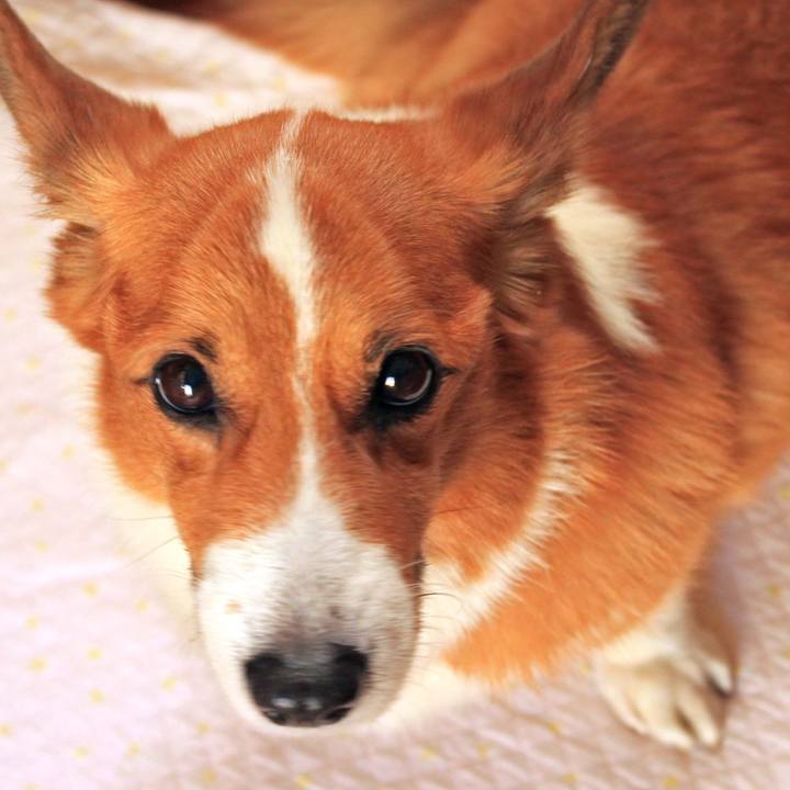 05e9a9f0 1435 42ed 8544 892fb364222c