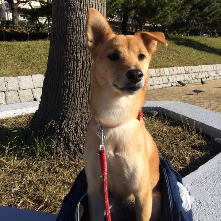 05e9bc39 3111 4d98 a75b 918d483b895d