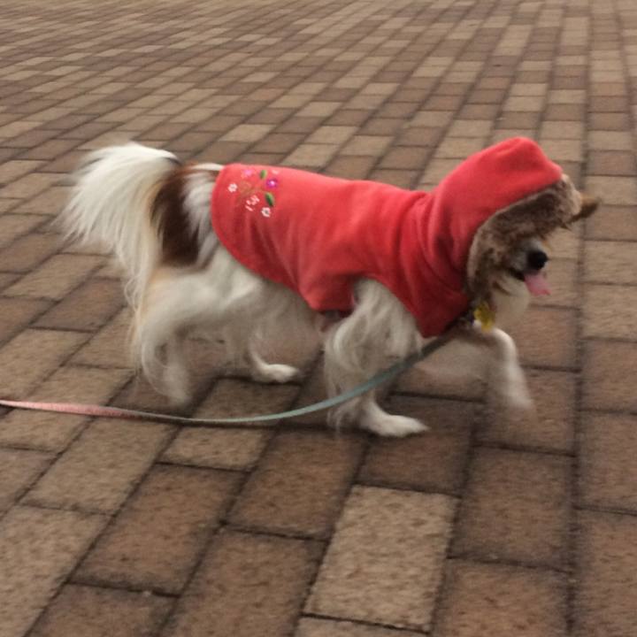 05e9e06f 9181 4feb 9212 81eab4ed39a2