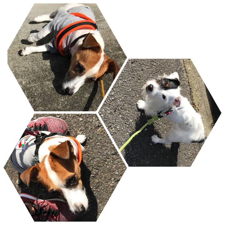 05e9eb15 89f7 4614 b55b f6b9ec179760