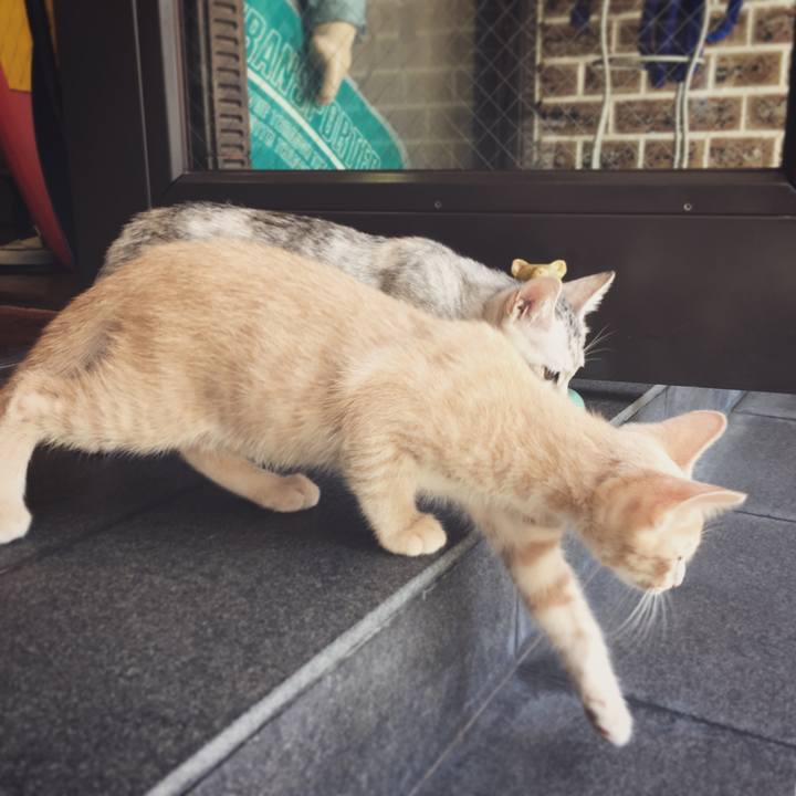 05ea388e 0574 4daa a559 36b4ca0f6d14