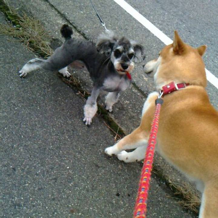 05eb0b4f 92ea 40ff b95b c0dbb90e2270