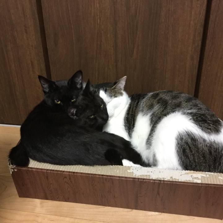 05eb1a21 bfdb 4776 8678 094be2f0db0d