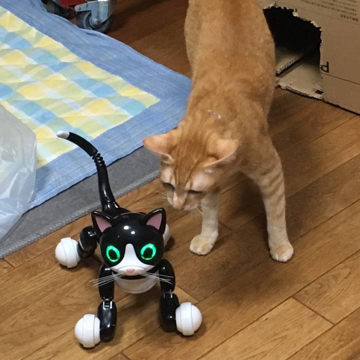 05eba146 f08e 413c bcce ae084ffa3023