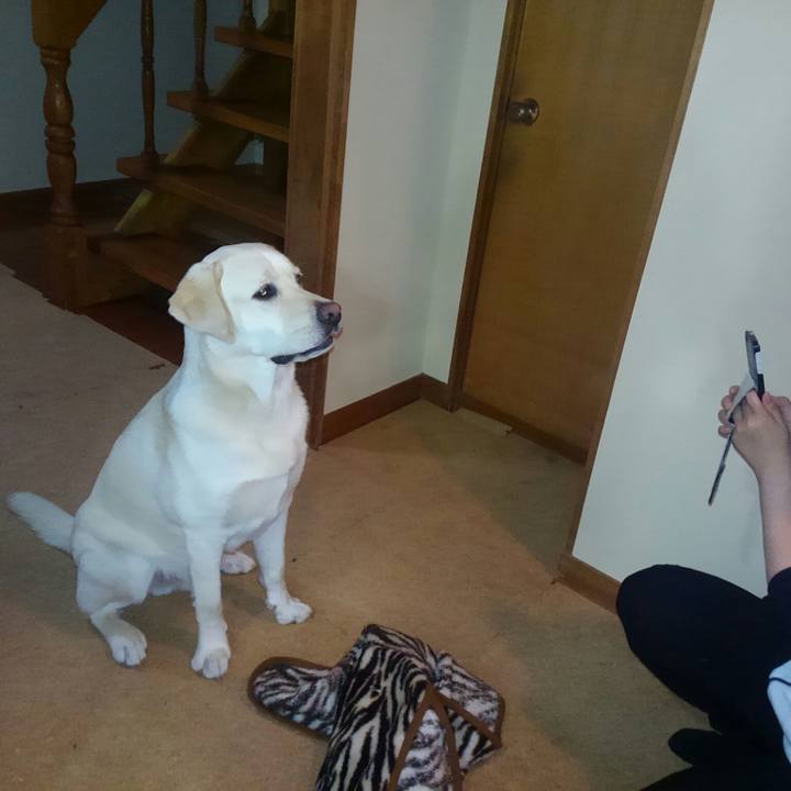 05eba818 7e1c 4e98 abe0 93c17cb80464