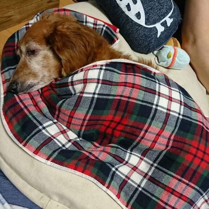 05ebbaae b8a5 4fa7 a757 3ec6467175f6