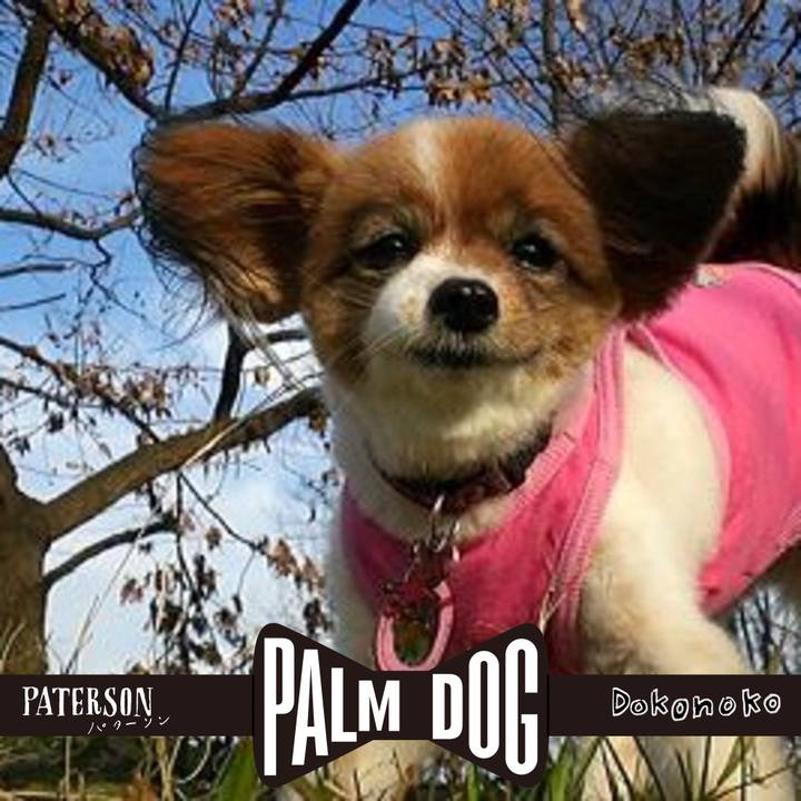 05ebd241 bb50 4997 97ef 15b3263b2091