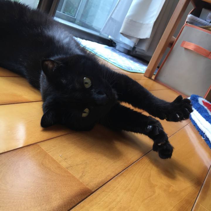 05ec2c65 29cd 4085 bf4c 64135d8a5439