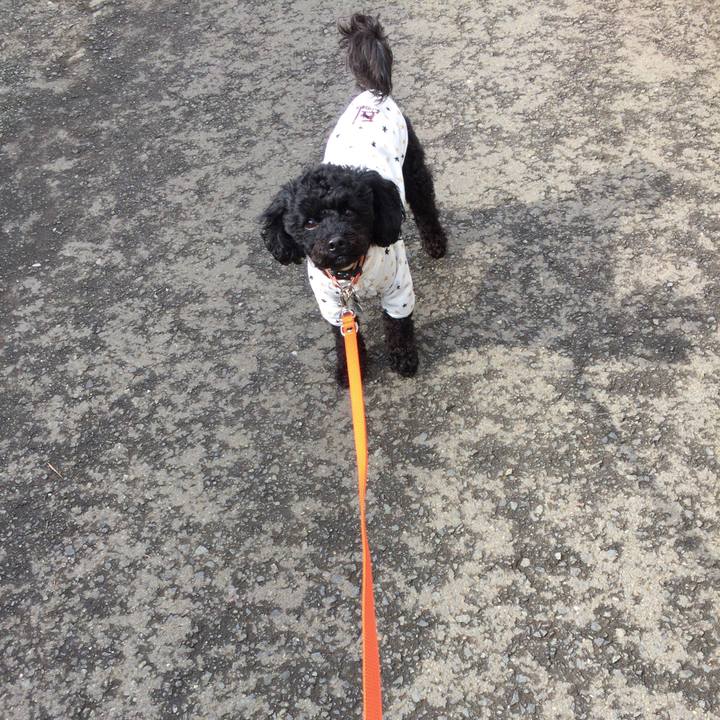 05ec362a 32ff 44dc aca3 fd8f45d71df1