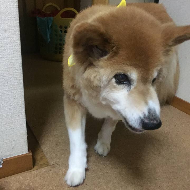 05edaecd 4861 424b a17f 5af0c7024b5e