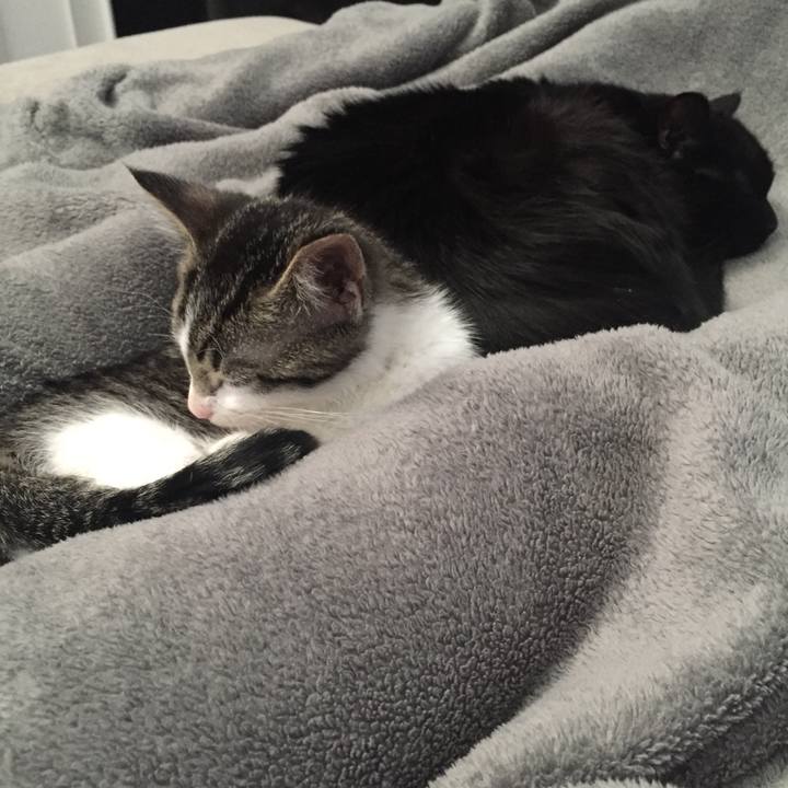 05edc0cf 718d 424d 9560 7e6cd5ea4fd9