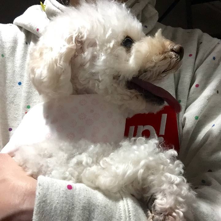 05ee3afb 678f 4433 b303 b01dff399b11