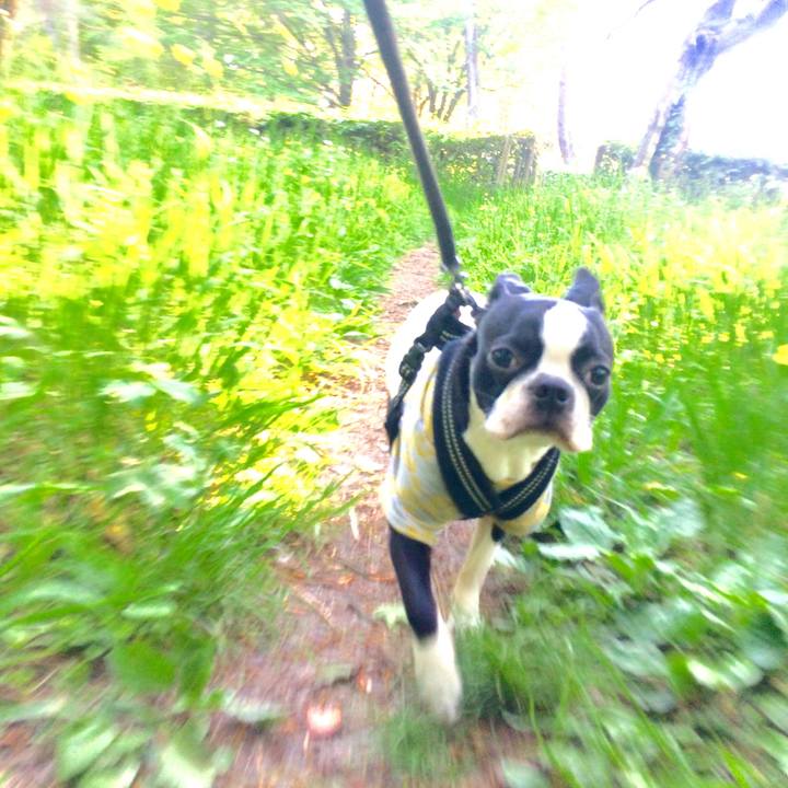 05eeb1c9 8889 48f2 9f8d 5139cc137482