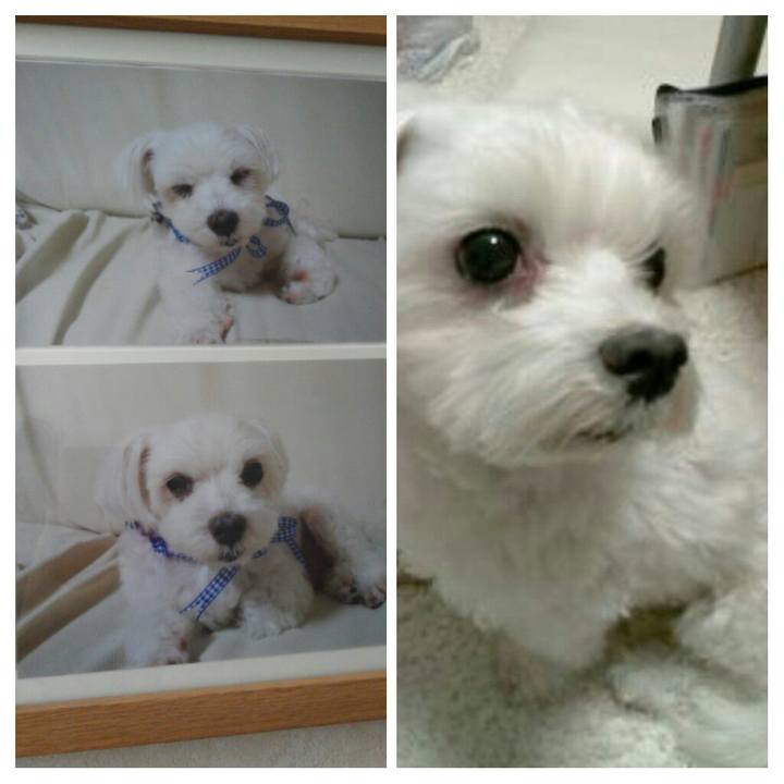 05ef4124 f24b 4d57 9b43 81241f8bf99d