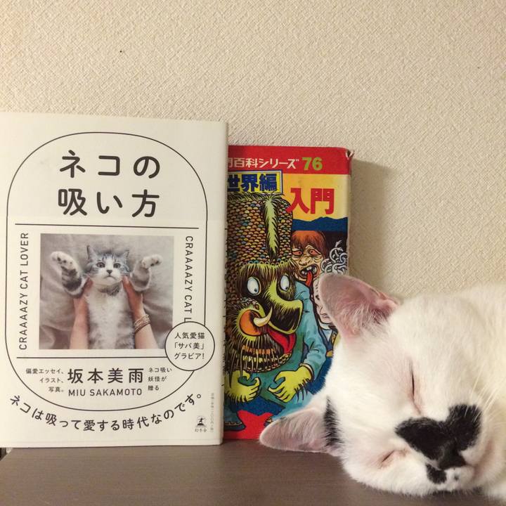 05ef4254 5187 40bb a682 625a801fddca