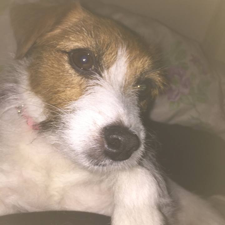 05ef624b 10fb 4f3c 9371 4c5f0b2d93b0