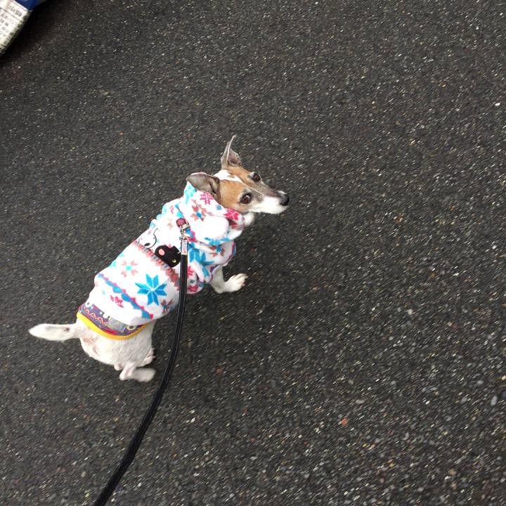 05ef6812 7dfc 4843 b0ca bd5964738886