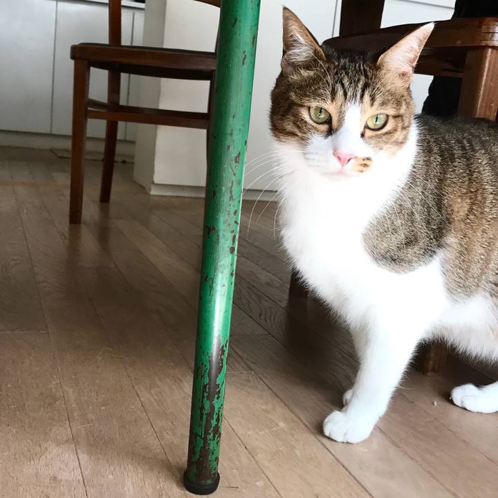 05ef7d12 78d7 4ab3 95e4 bcef6e4a8ca4