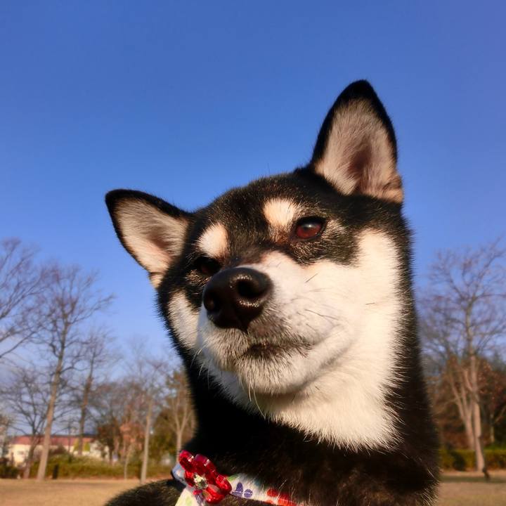 05efc6c9 4810 4bb3 8277 30870115cb52