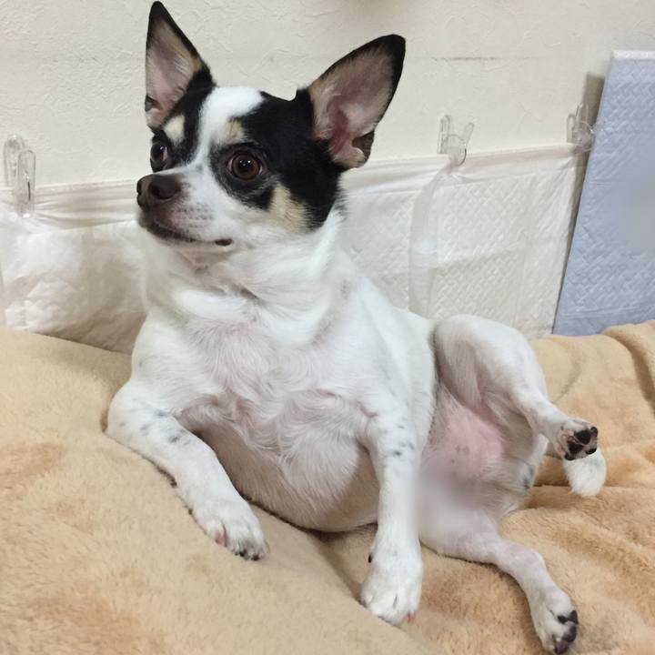 05effb5f 4a3f 4c9b a7ea 3e80bac0675a