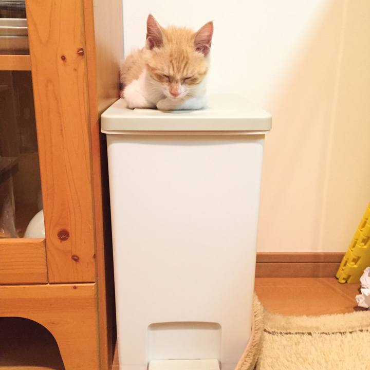 05f03085 1643 4fa3 8537 c175cd32205e