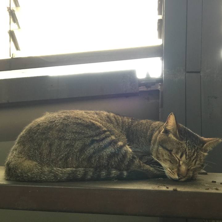 05f05a62 b62f 4689 b349 1ae25c0a2eec