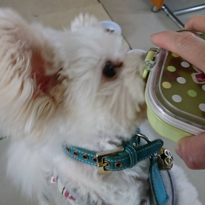 05f07661 6bd9 466c 9b41 e2ce08922381