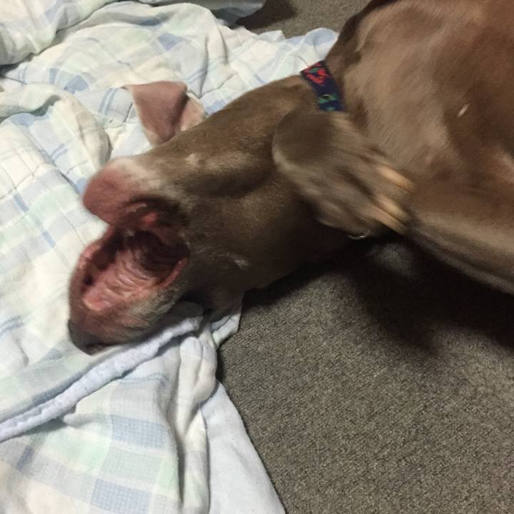 05f0ad22 d328 4617 90b9 002aee86c20e