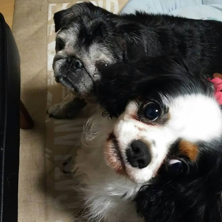 05f0db02 988e 4b3c 865a 320fb30e9e92