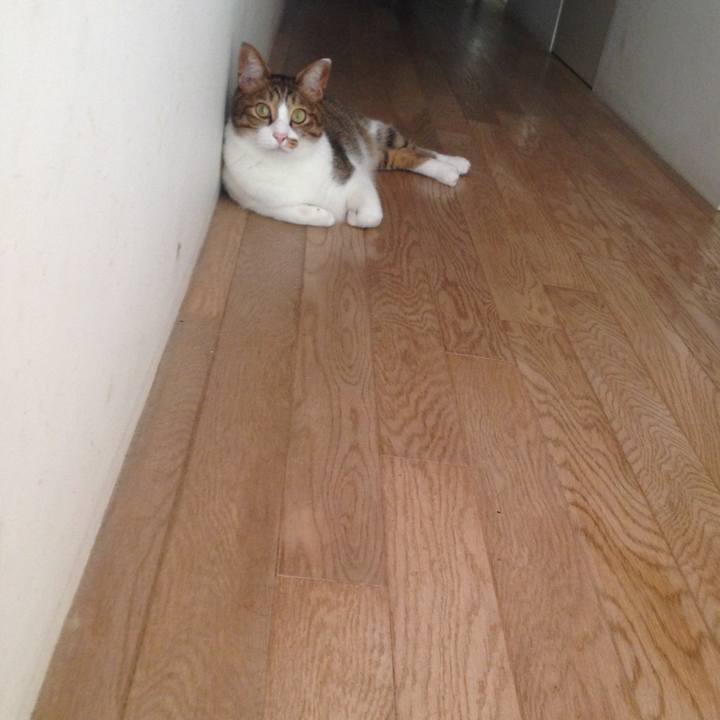 05f0f9de ad58 45d3 ba1a 02941937f119