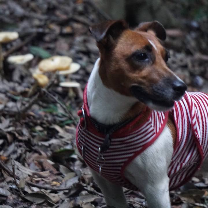 05f16f50 bfe9 4ab3 815e 519112494f31