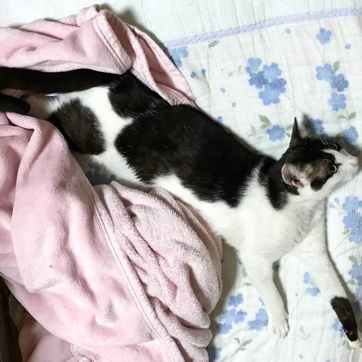 05f2200b ed81 4ad1 b97b 68d9184100a0