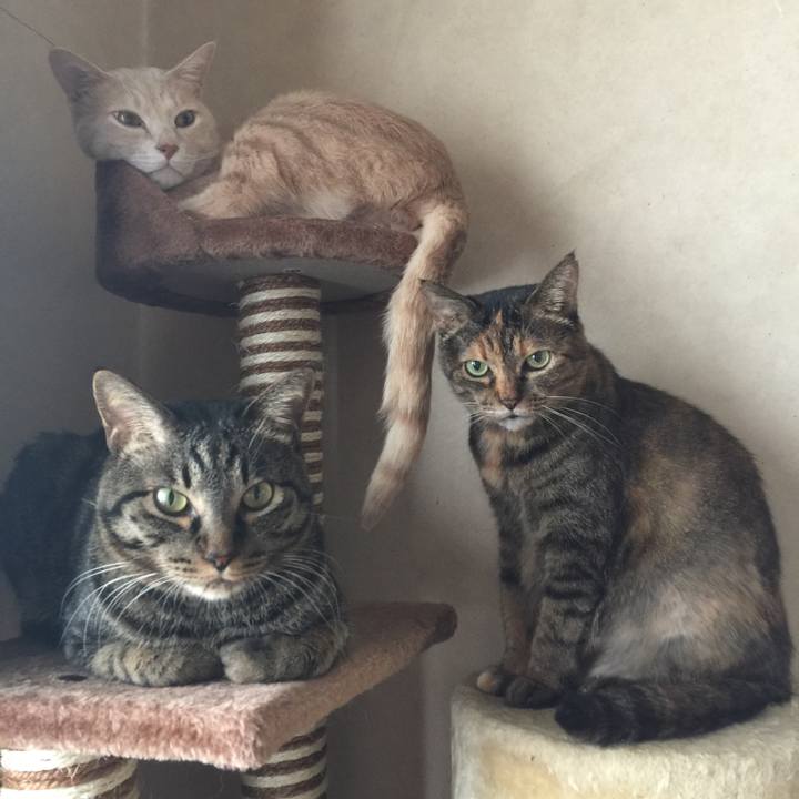 05f271e8 678c 4363 8e8b ef22c9b07356