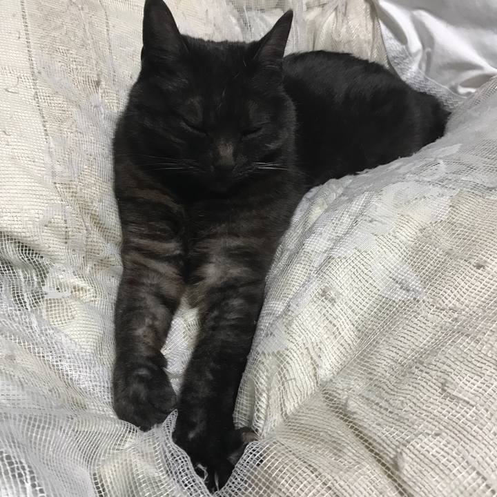 05f27648 56ab 406f 904e 34159bced0b5