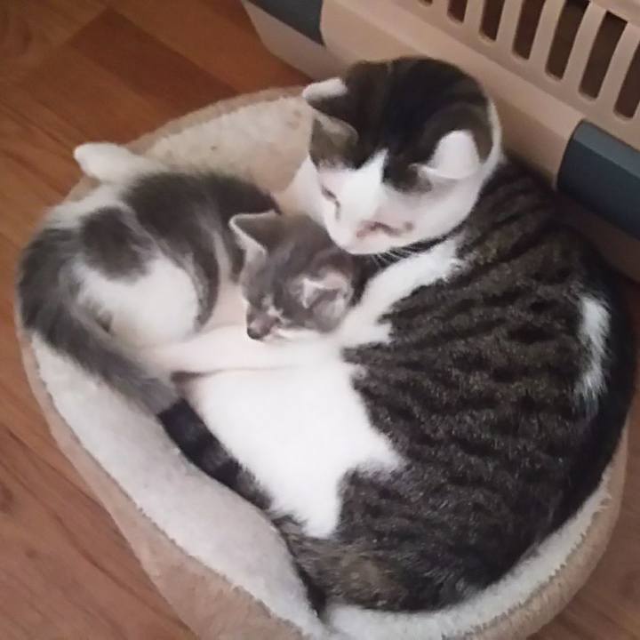 05f2a65b a050 43c3 a3ef def2812bc661