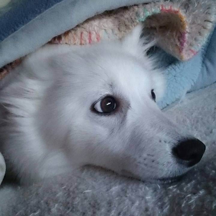 05f2aae3 da1f 4d69 9ae4 29a29df5aa93