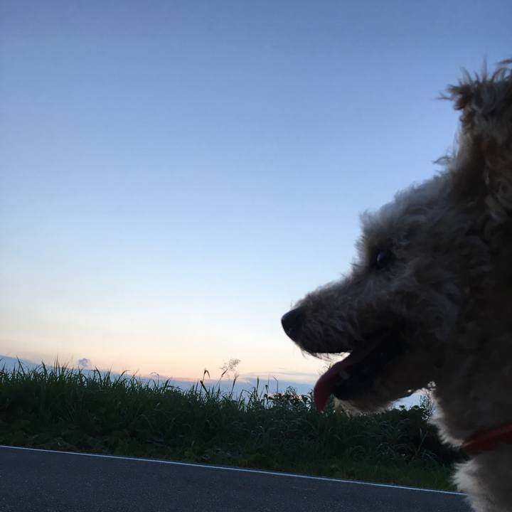 05f2deee a1aa 4790 a083 d38ee2552691