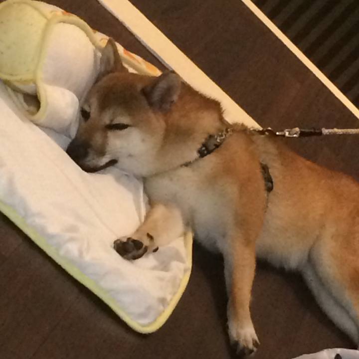 05f3c56f 6774 47f0 8cbb 0abe8a39a239