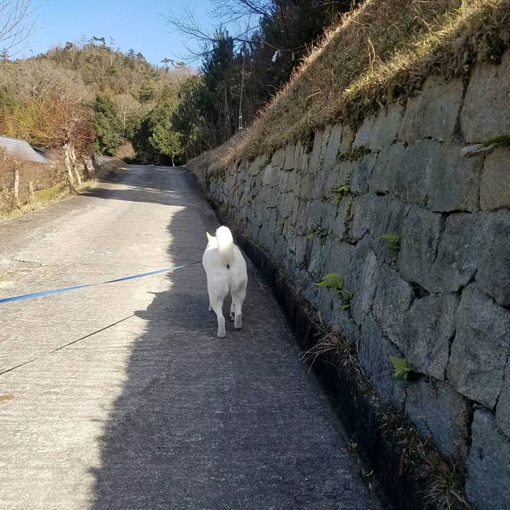 05f3dcfe 52d7 49ac a408 842074f7021f