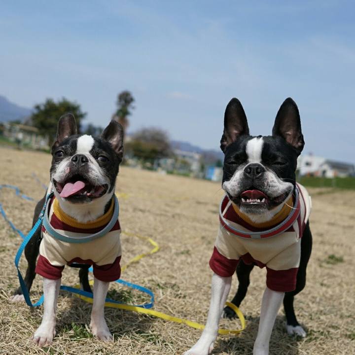 05f3fe24 c136 4b7c b46f ffc1d9e5b34c