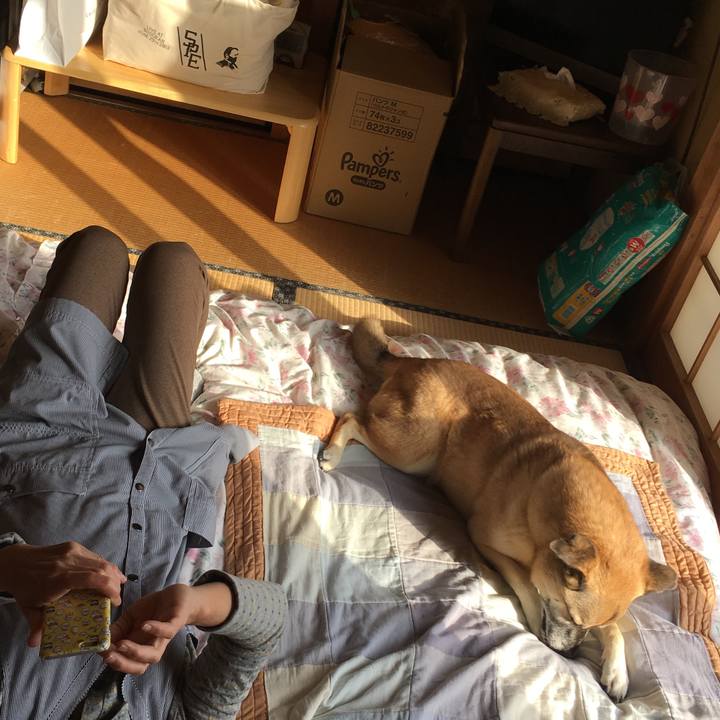 05f4230d 6f1a 4ea8 b36c 7905cd4f7228