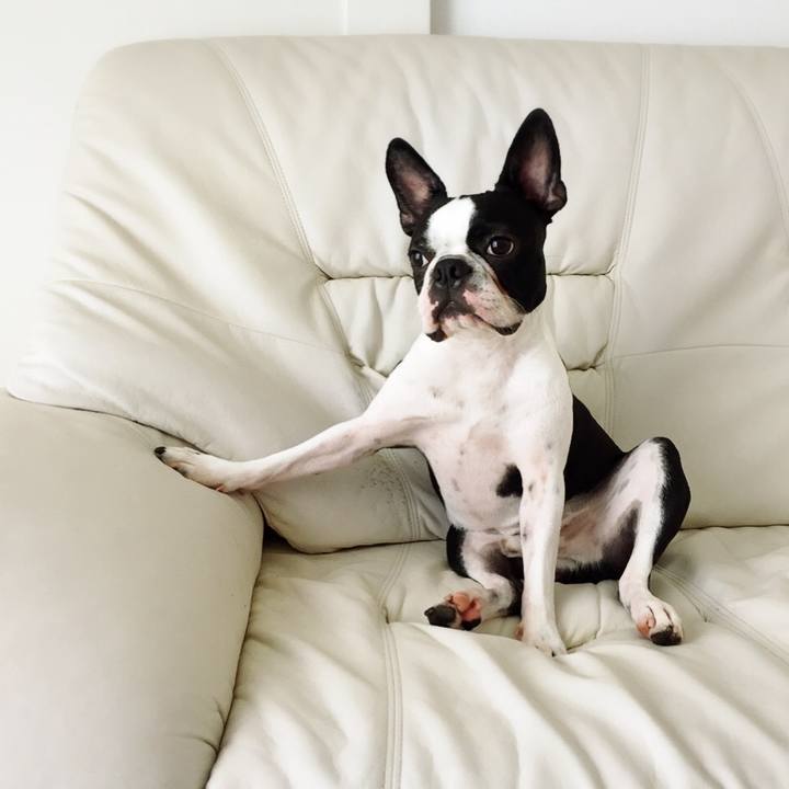 05f487ee 44ff 4996 9076 5faecd5a7d90