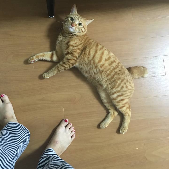 05f4f5ea af6c 4108 9f12 1b1d26e1191b