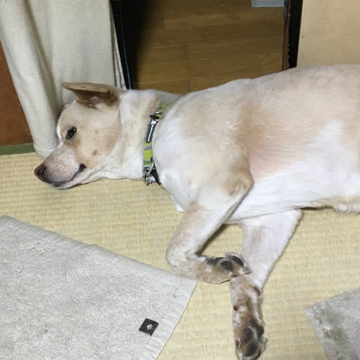 05f53348 e476 46fd 83ae ed2003131cfd