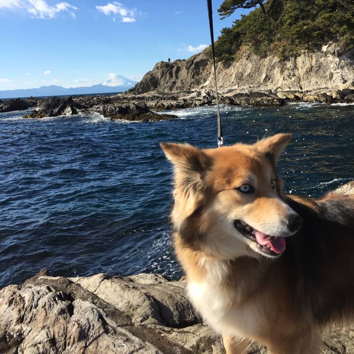 05f54c54 61c9 4b60 90e3 ca392fed5d3a