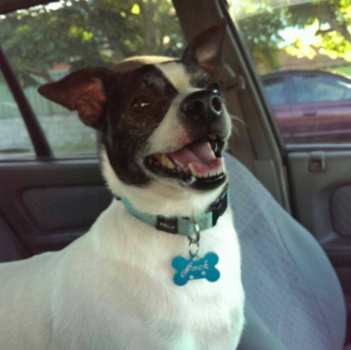 05f56cc4 b168 4987 8a4f 3389d4a5c66f