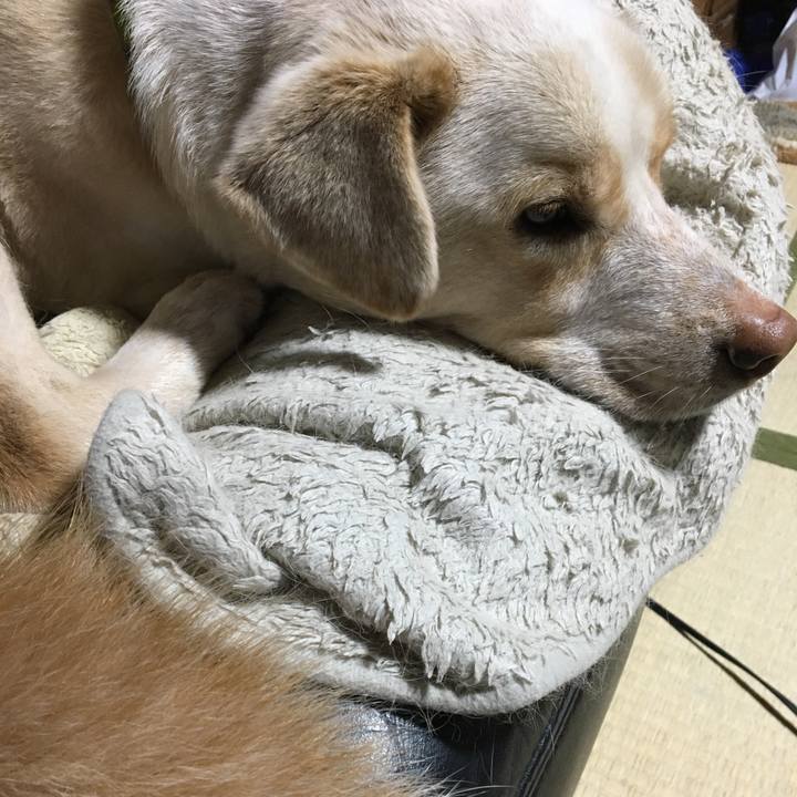 05f61847 4492 4a4c ba4c 129e684279a5