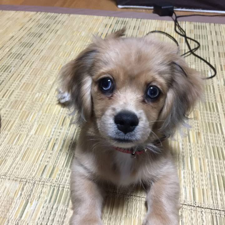 05f62789 8208 4250 a1f1 27fa43c3439c