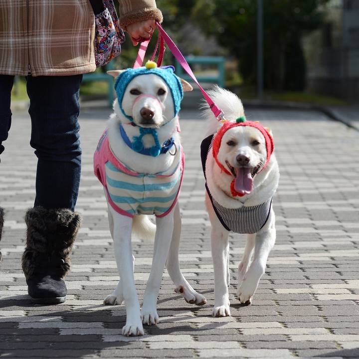 05f65dcc ae77 40ff 8fed 37b8336f24ac