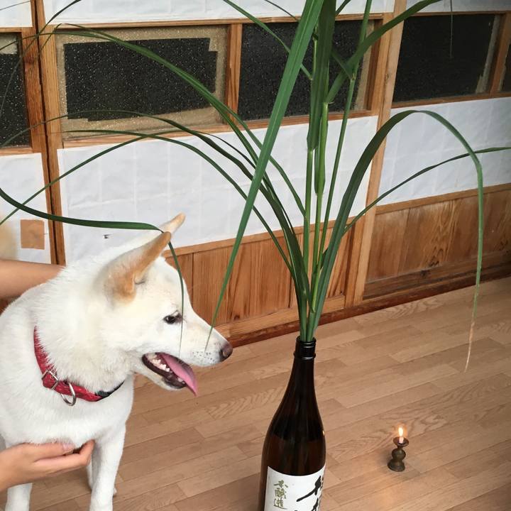 05f6a007 b975 4907 9ee2 4b9a68d5a644